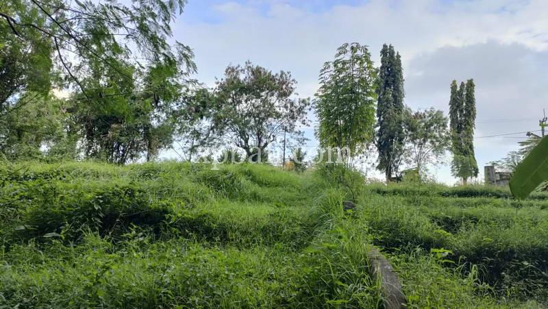 Земельный участок 3200м² в Tabanan, Индонезия № 3737