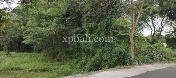 Земельный участок 3200м² в Tabanan, Индонезия № 3737 5
