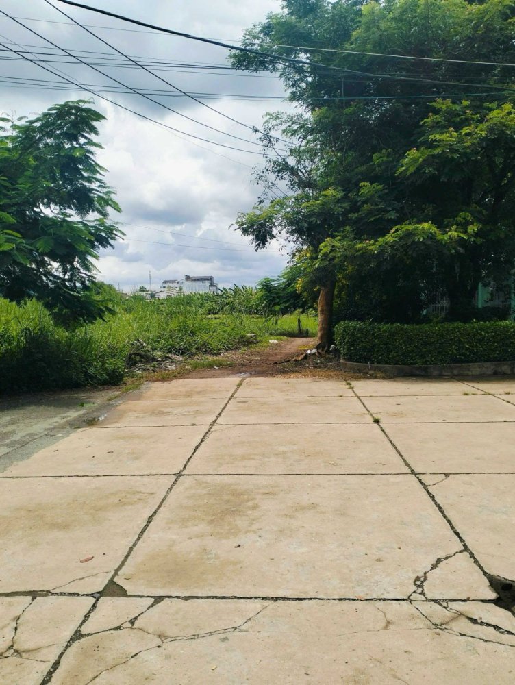 9500m² Land in Binh Chanh, Vietnam No. 20975