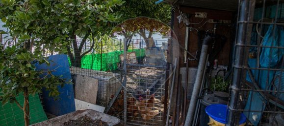 3 chambres Maison à Baiao, Portugal No. 183956 22