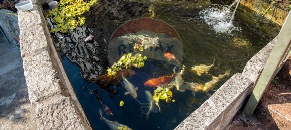 3 chambres Maison à Baiao, Portugal No. 183956 38