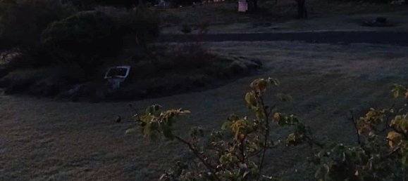 4 غرف نوم منزل في Ingoldsby, Australia رقم 472 23