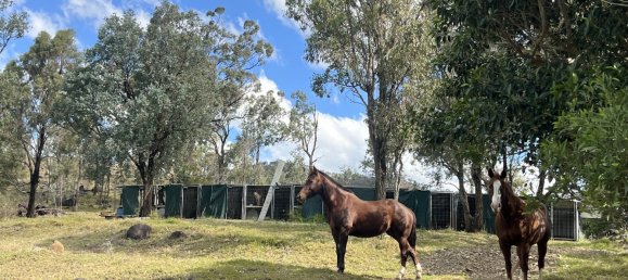 4 غرف نوم منزل في Ingoldsby, Australia رقم 472 8