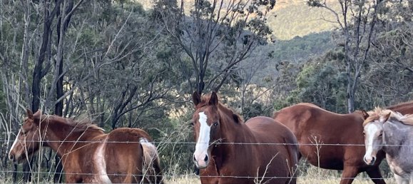 4 غرف نوم منزل في Ingoldsby, Australia رقم 472 2