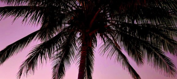 Casa T4 em Clairview, Australia N.º 833 19