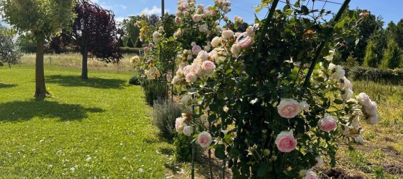 8غرفة منزل في Melazzo, Italy رقم 82047 15