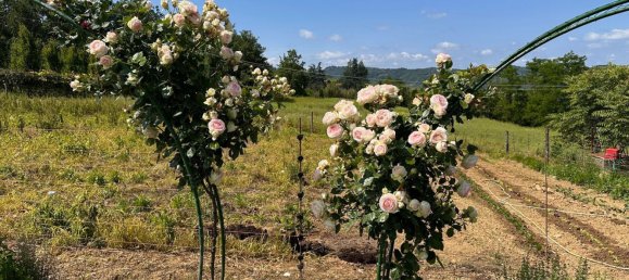 8غرفة منزل في Melazzo, Italy رقم 82047 16