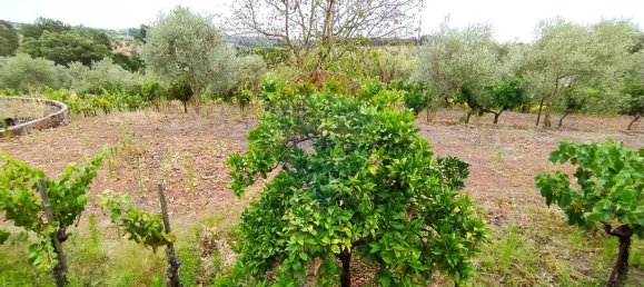 2 غرف نوم منزل في Tomar, Portugal رقم 26181 5