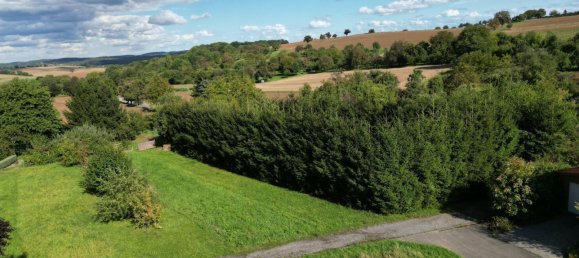 493m² Land in Rhein-Neckar-Kreis, Germany No. 297758 5