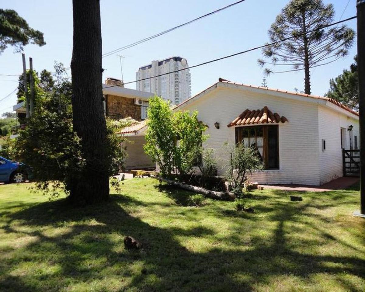 4 غرف نوم منزل في Maldonado, Uruguay رقم 6684