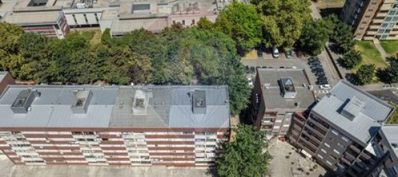 2 bedrooms Apartment in Braga, Portugal No. 247895 32