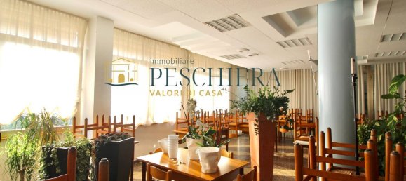 800m² Building in Valeggio sul Mincio, Italy No. 167034 2