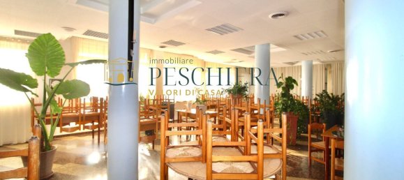 800m² Building in Valeggio sul Mincio, Italy No. 167034 3