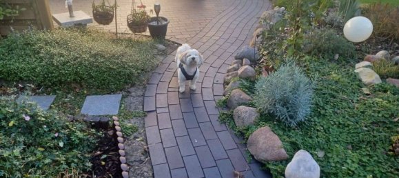 Таунхаус с 2 спальнями в Бремен, Германия № 23233 7