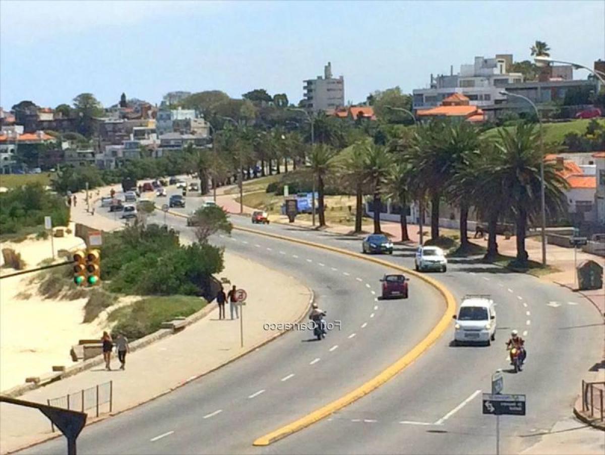 Studio in Montevideo, Uruguay No. 3341