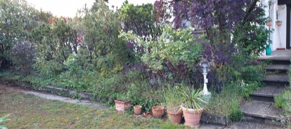 Бунгало с 9 комнатами в Бад Фишау-Брунн, Австрия № 233809 6