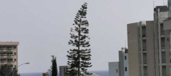 3 bedrooms Apartment in Agios Tychonas, Cyprus No. 12122 7