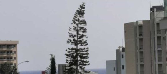 3 bedrooms Apartment in Agios Tychonas, Cyprus No. 12122 7