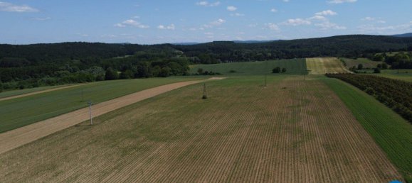 Land in Wiesen, Austria No. 62709 9