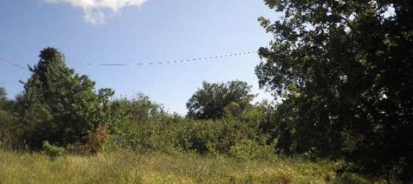 Terreno en Castellina Marittima, Italy 2000 m² No. 256871 2