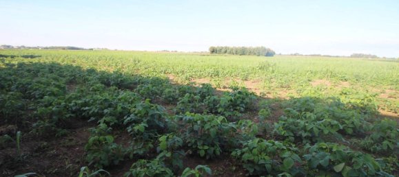 Armazém em Lazzate, Italy 1000 m² N.º 356824 5