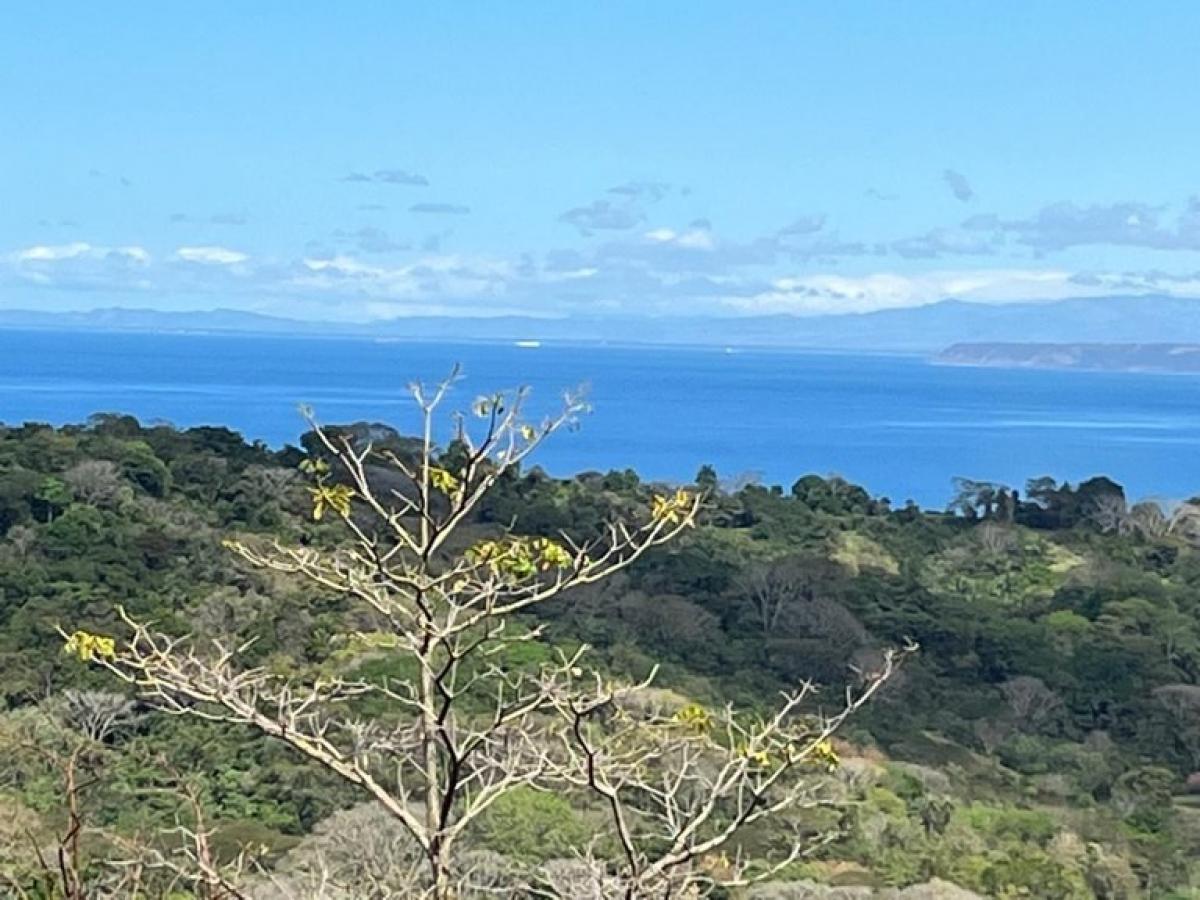 terreno en venta en Garabito, Puntarenas, Costa Rica № 1696