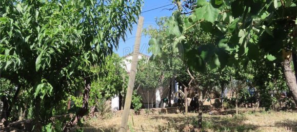 Casa de 3 dormitorios en Idanha a Nova, Portugal No. 62590 14