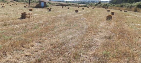 Casa de 3 dormitorios en Idanha a Nova, Portugal No. 62590 24