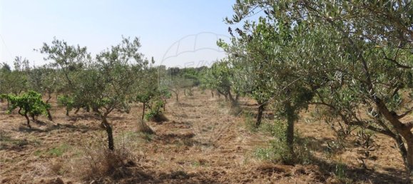 Casa de 3 dormitorios en Idanha a Nova, Portugal No. 62590 50