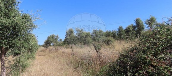 Casa de 3 dormitorios en Idanha a Nova, Portugal No. 62590 42