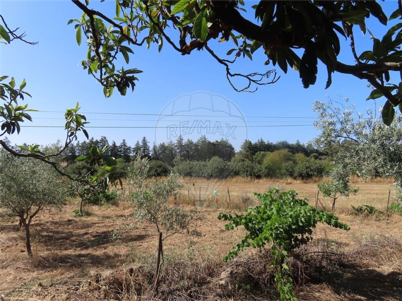 Casa de 3 dormitorios en Idanha a Nova, Portugal No. 62590