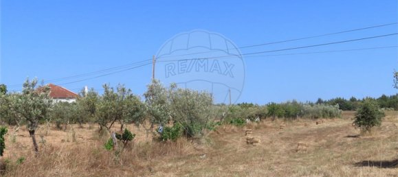 Casa de 3 dormitorios en Idanha a Nova, Portugal No. 62590 25