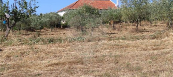 Casa de 3 dormitorios en Idanha a Nova, Portugal No. 62590 41