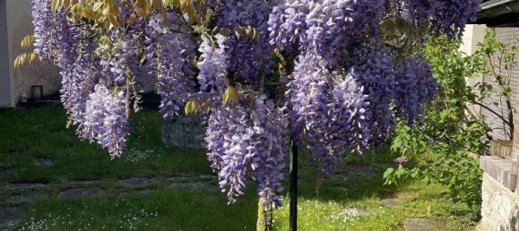 5 chambres Maison à Gironville, France No. 142526 5