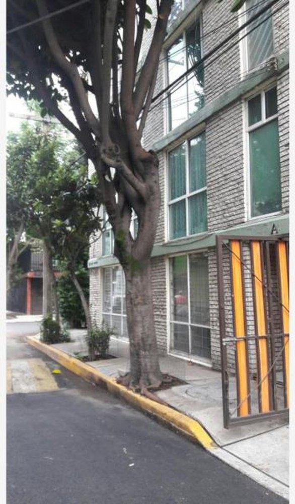 3 Schlafzimmer Wohnung in Mexicali, Mexico, Nr. 164187