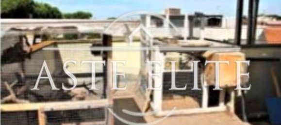 3 rooms Apartment in Ardea, Italy No. 261539 19