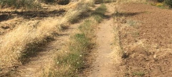 2غرفة منزل في Maglie, Italy رقم 116489 3