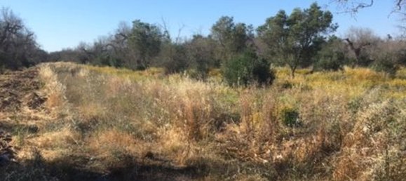 2غرفة منزل في Maglie, Italy رقم 116489 8