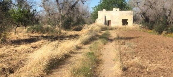 2غرفة منزل في Maglie, Italy رقم 116489 5