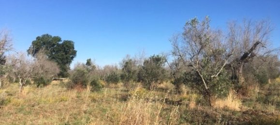 2غرفة منزل في Maglie, Italy رقم 116489 19