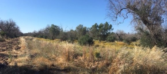 2غرفة منزل في Maglie, Italy رقم 116489 7