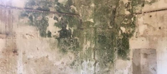 2غرفة منزل في Maglie, Italy رقم 116489 31