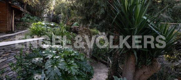 2 chambres Maison à Dolcedo, Italy No. 63322 15