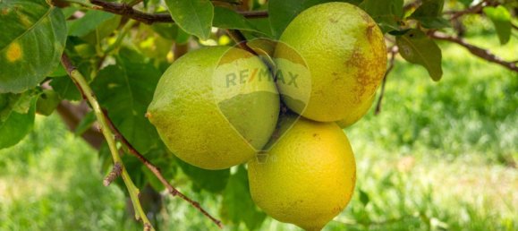  قطعة أرض في Calatabiano, Italy 60000متر مربع رقم 370715 10