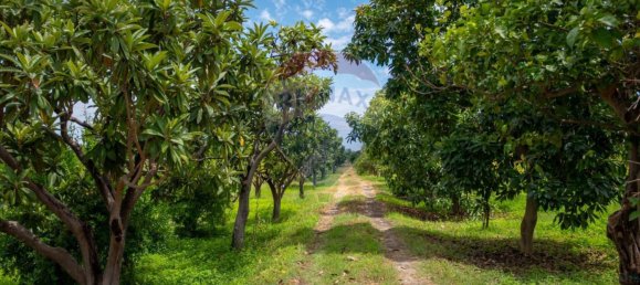  قطعة أرض في Calatabiano, Italy 60000متر مربع رقم 370715 12