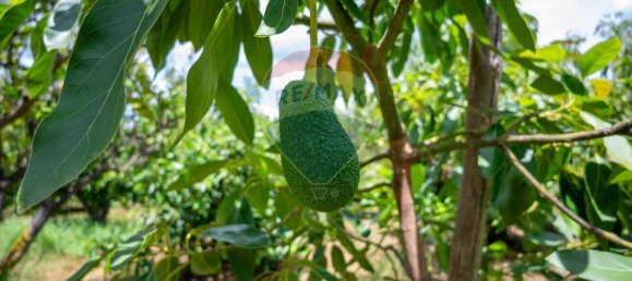  قطعة أرض في Calatabiano, Italy 60000متر مربع رقم 370715 7