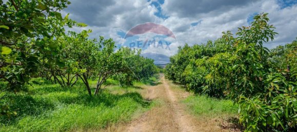  قطعة أرض في Calatabiano, Italy 60000متر مربع رقم 370715 8
