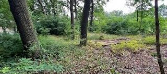 Terreno em Oberhavel, Germany N.º 81499 2