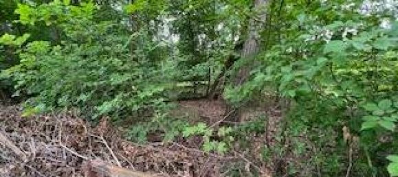 Terreno em Oberhavel, Germany N.º 81499 3