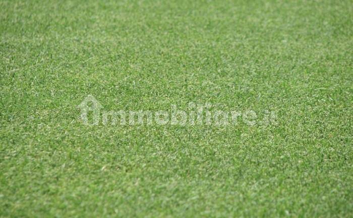 35432m² Land in Certaldo, Italy No. 133539